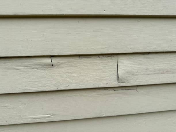 Best Storm Damage Siding Repair  in Roseburg Nth, OR